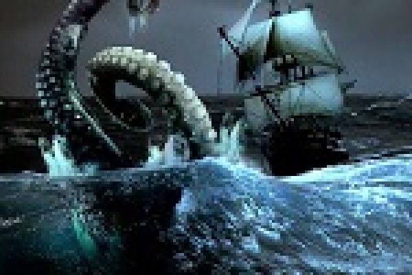 Kraken darknet to run