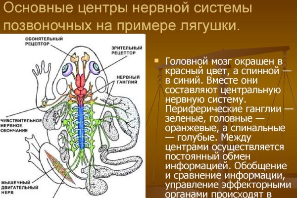 Кракен через тор